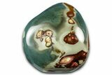 Free-Standing, Polished Polychrome Jasper - Madagascar #341863-1
